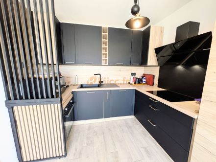 APPARTEMENT T2 RECENT 48 M&sup2; Cannes