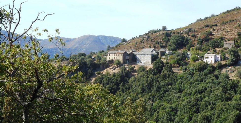 Somptueuse maison de Maître vue époustouflante sur les montagnes environnantes BISINCHI 20235  
