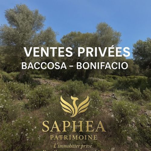 MAISON  CONTEMPORAINE  SOTTA