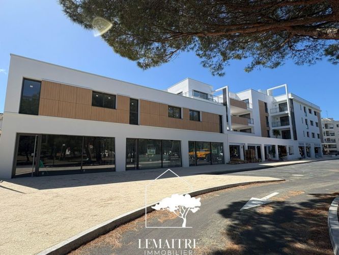 APPARTEMENT DUPLEX T4 112 M2 TERRASSE BORD DE MER LA PALMYRE