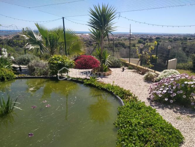 APPARTEMENT T6 120 M2 TERRASSE VUE MER FRONTIGNAN