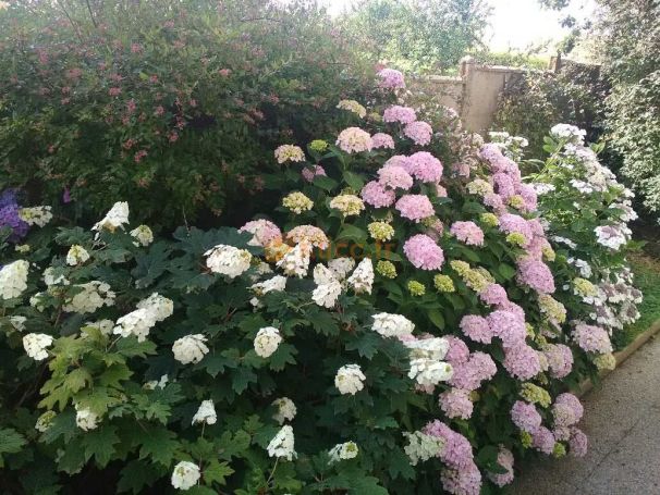 A vendre MAISON  5 PIECES 115 M2 BORD DE MER DIEPPE à 5 minutes de la mer et de Neuville-sur-Dieppe et 10 minutes de Dieppe