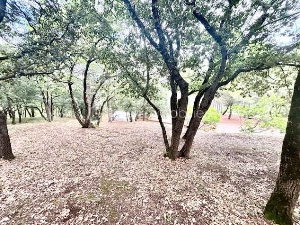 A louer MAISON  D'ARCHITECTE  LIMOUX