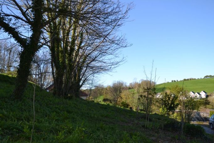 A vendre TERRAIN 860 M2 BORD DE MER VEULETTES SUR MER