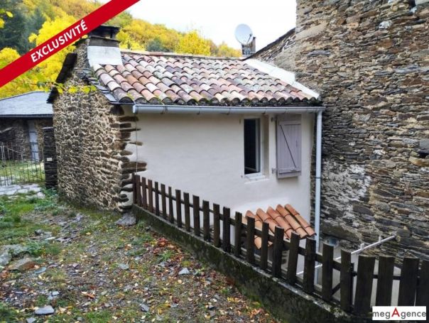 A louer MAISON  DE MAîTRE  SAINT ANDRE DE VALBORGNE