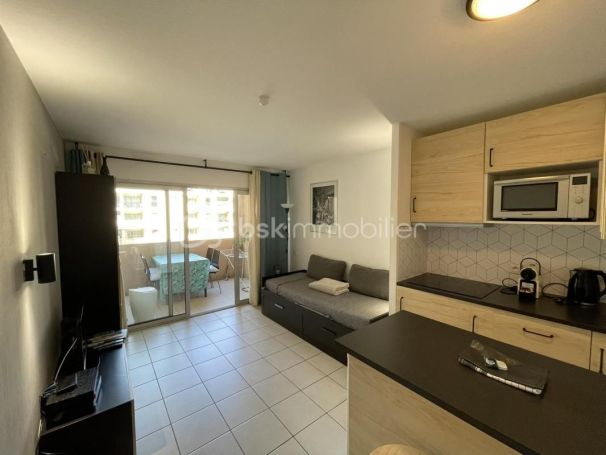 A louer APPARTEMENT T2 27 M2 TERRASSE BORD DE MER CANNES