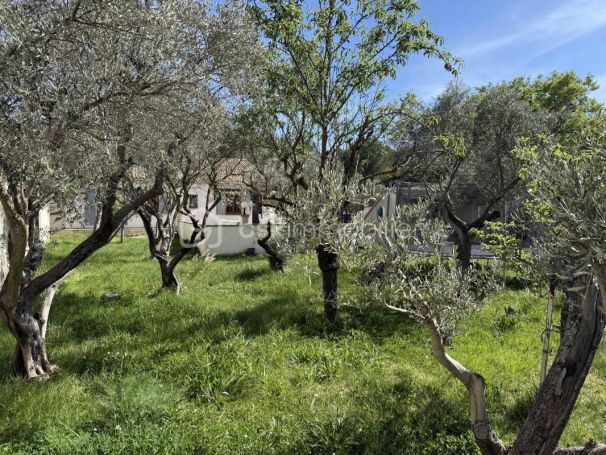 A vendre MAISON  8 PIECES 170 M2  PELISSANNE