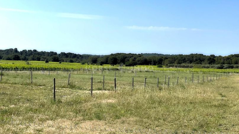 A vendre Domaine languedocien avec installations Ã©questres 34140 Meze