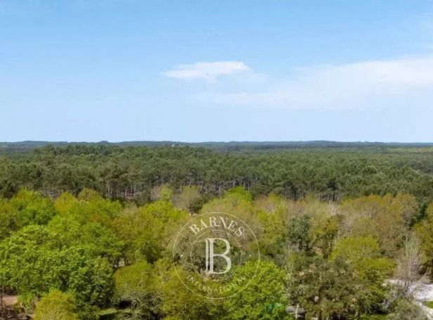 A vendre PROPRIéTé  MAGESCQ