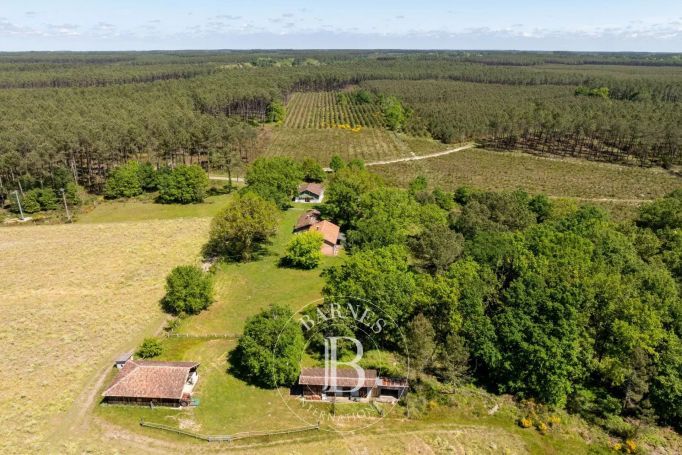 A vendre PROPRIéTé  MAGESCQ