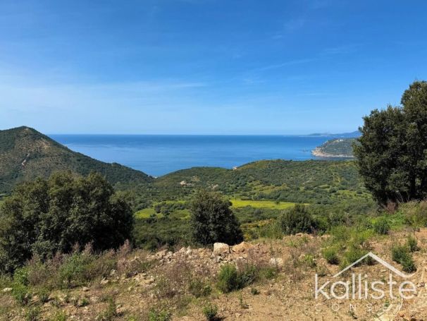 A vendre TERRAIN 11 000 M2 BORD DE MER VILLANOVA