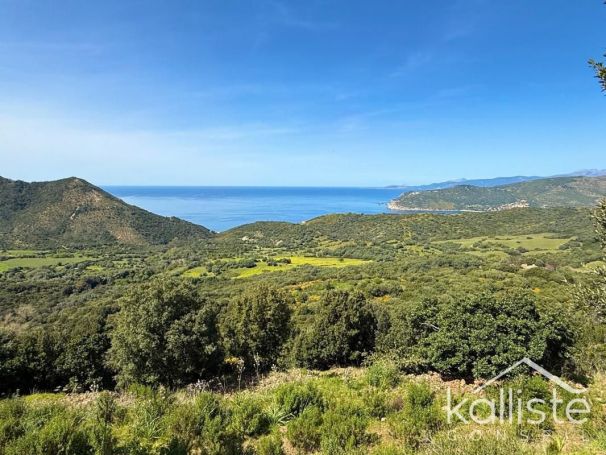 A vendre TERRAIN 11 000 M2 BORD DE MER VILLANOVA