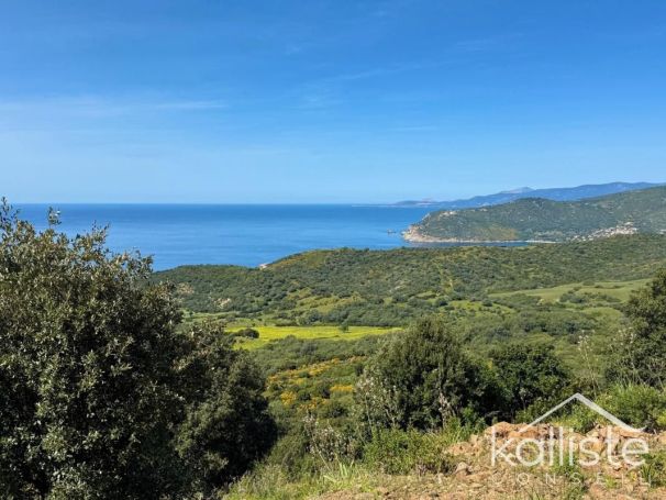 A vendre TERRAIN 11 000 M2 BORD DE MER VILLANOVA
