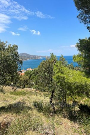 A vendre MAISON  3 PIECES 105 M2 VUE MER BANYULS SUR MER Bord de mer