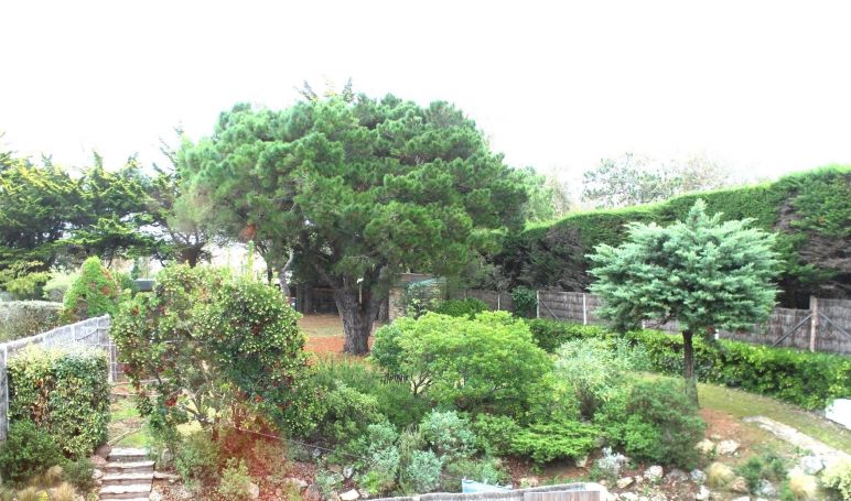 A vendre MAISON  4 PIECES 205 M2 PLAGE à PIED SAINT GILLES CROIX DE VIE