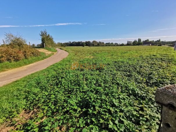 A vendre TERRAIN 1 429 M2  AUFFAY