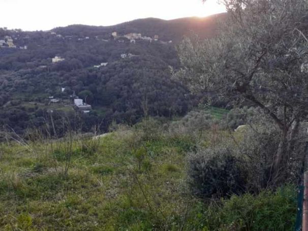 A vendre Ã Vendre : Terrain constructible de 798 mÂ² sur les hauteurs 20200 Ville Di Pietrabugno