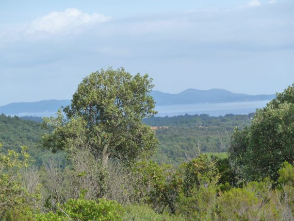 TERRAIN 18 269 M2 VUE MER LA LONDE LES MAURES