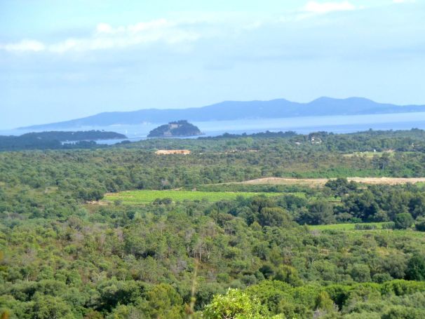 TERRAIN 18 269 M2 VUE MER LA LONDE LES MAURES