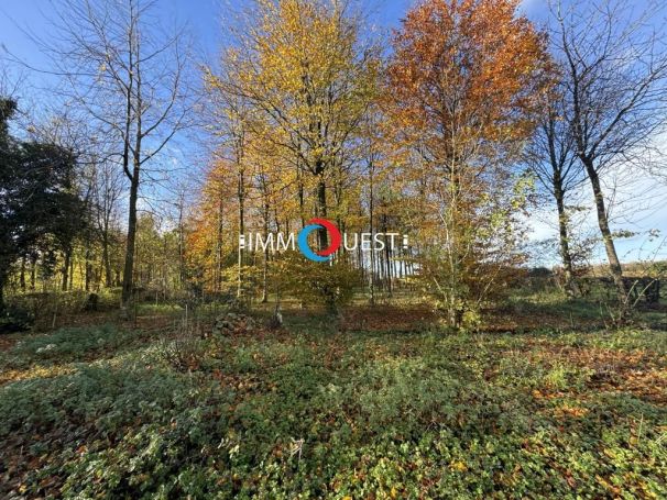 A vendre LONGèRE  6 PIECES 112 M2  BOUVELINGHEM