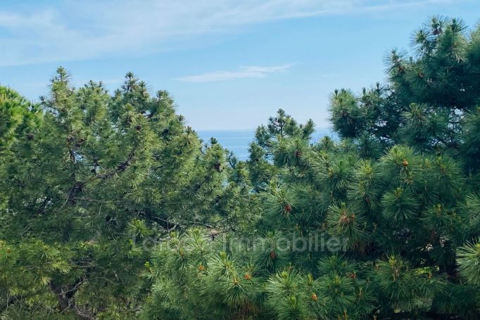 A vendre APPARTEMENT NEUF T2 50 M2 BORD DE MER BANYULS SUR MER