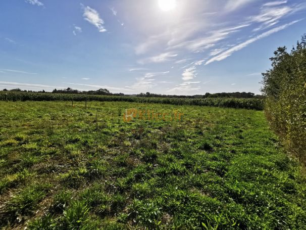 A vendre TERRAIN 1 000 M2  AUFFAY