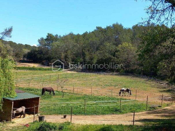 A louer MAISON  DE MAîTRE  CABASSE