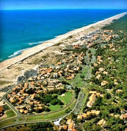 A louer APPARTEMENT T2 28 M2 BORD DE MER SEIGNOSSE