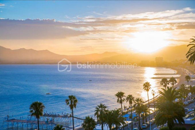 A louer APPARTEMENT T2 50 M2 TERRASSE BORD DE MER CANNES