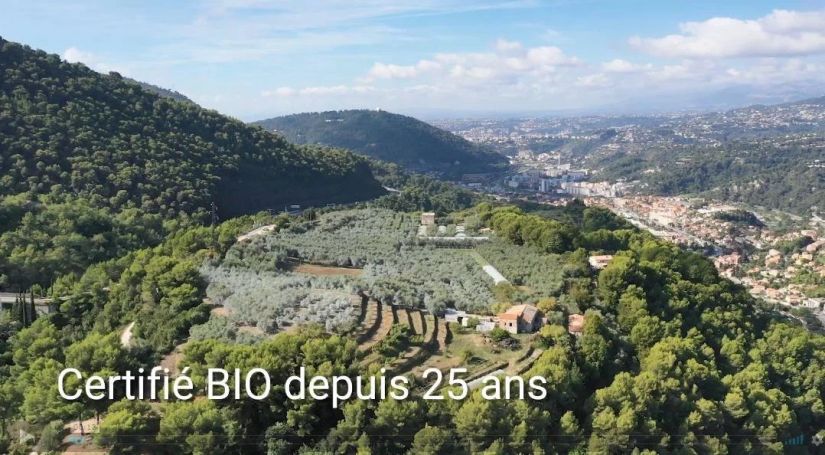 A louer PENTHOUSE DE PRESTIGE T6 PIEDS DANS L'EAU LA TRINITE