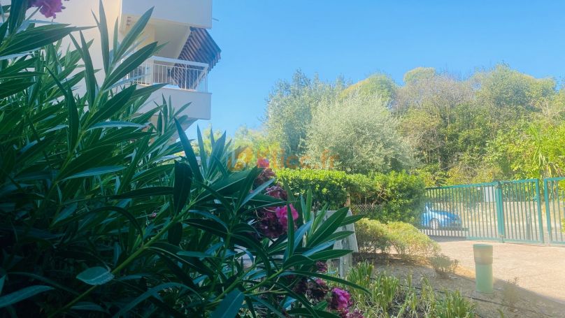 APPARTEMENT T3 69 M2 TERRASSE BORD DE MER VALLAURIS centre ville MER