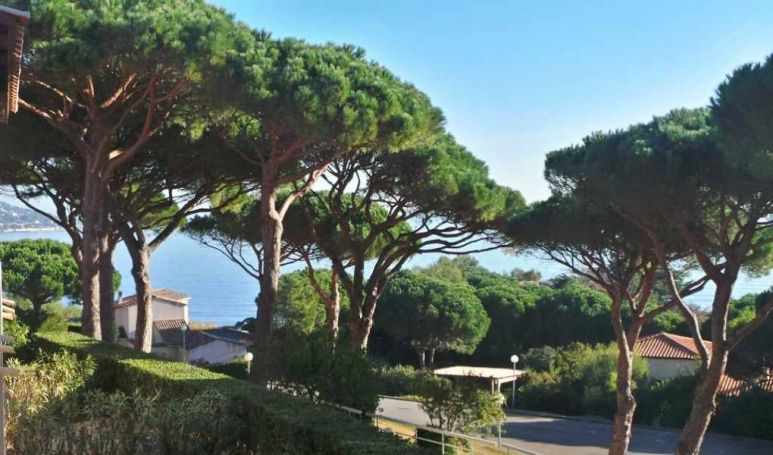 A louer APPARTEMENT T2 28 M2 TERRASSE VUE MER SAINTE MAXIME