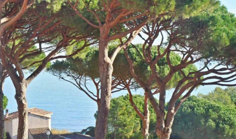 A louer APPARTEMENT T2 28 M2 TERRASSE VUE MER SAINTE MAXIME
