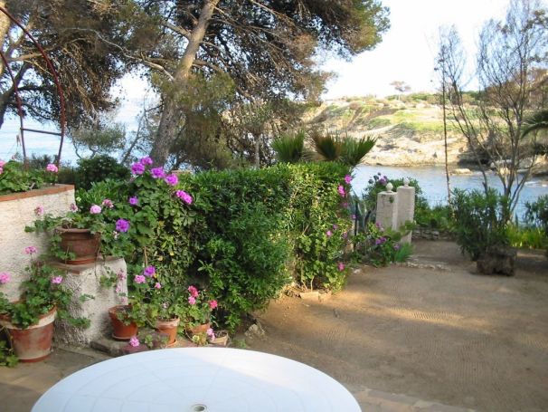 A louer MAISON  2 PIECES 35 M2 PIEDS DANS L'EAU LES ISSAMBRES