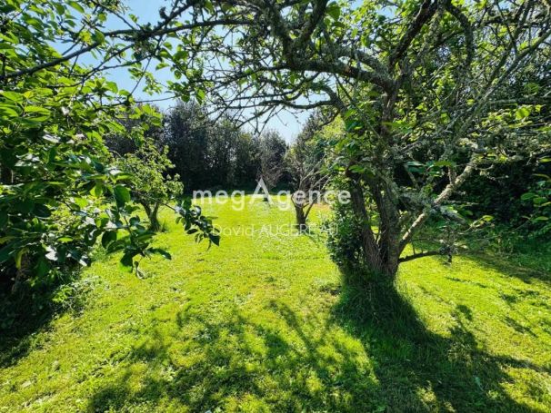 A vendre MAISON 3 PIECES 65 M² EN IMPASSE L Ile D Yeu