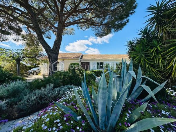 A louer MAISON  5 PIECES 145 M2  SAUVIAN