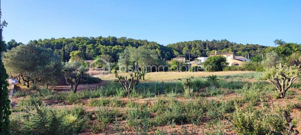 A louer MAISON  2 000 M2  CLERMONT L HERAULT
