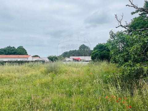 A louer MAISON  CONTEMPORAINE BORD DE MER LES MATHES