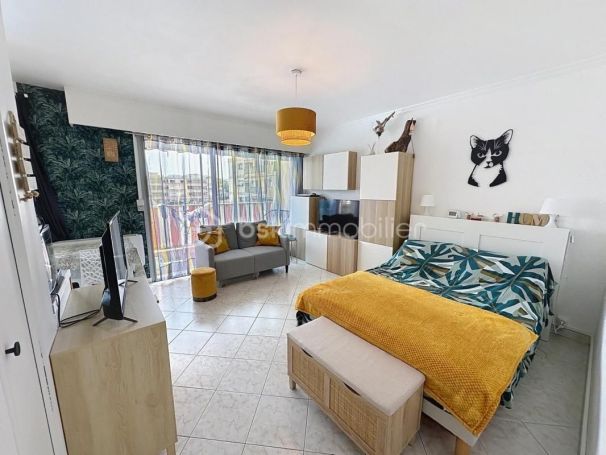 A louer STUDIO  28 M2 TERRASSE BORD DE MER MANDELIEU LA NAPOULE