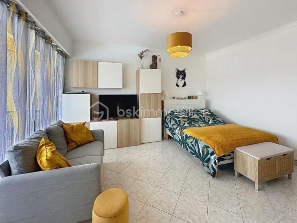 A louer STUDIO  28 M2 TERRASSE BORD DE MER MANDELIEU LA NAPOULE