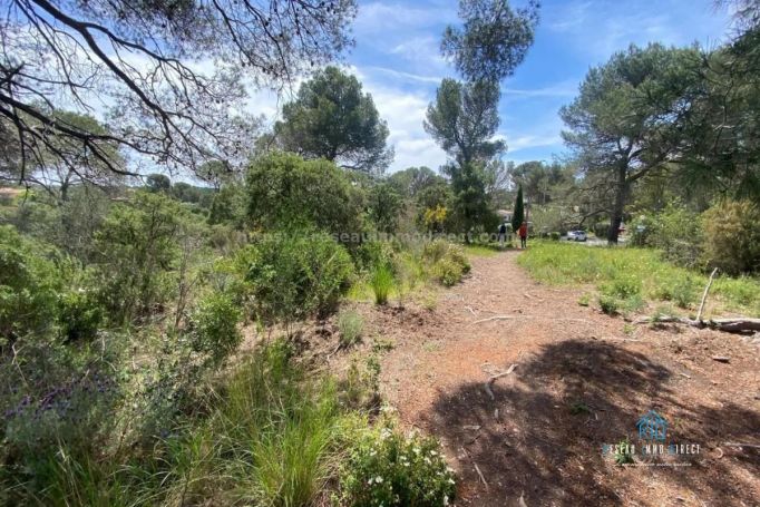A louer APPARTEMENT T3 85 M2 TERRASSE BORD DE MER FREJUS