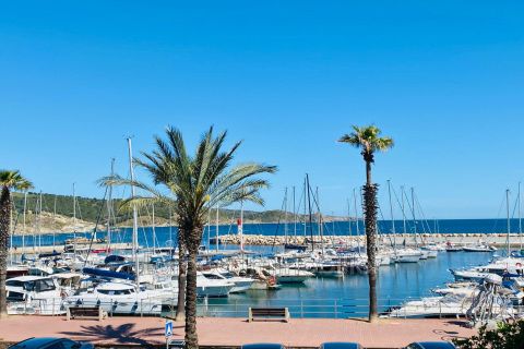A louer APPARTEMENT T2 35 M2 VUE MER BANYULS SUR MER Front de mer