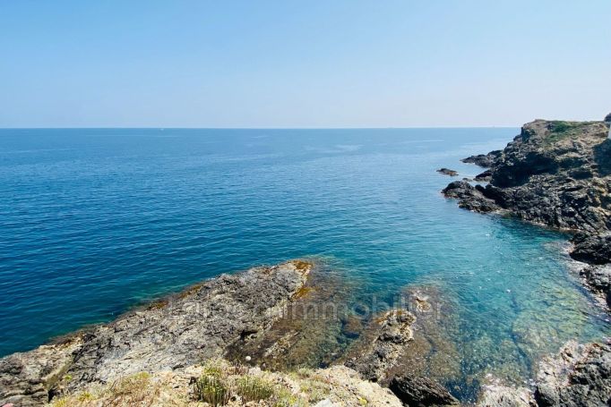 A louer APPARTEMENT T2 50 M2 TERRASSE VUE MER BANYULS SUR MER Front de mer