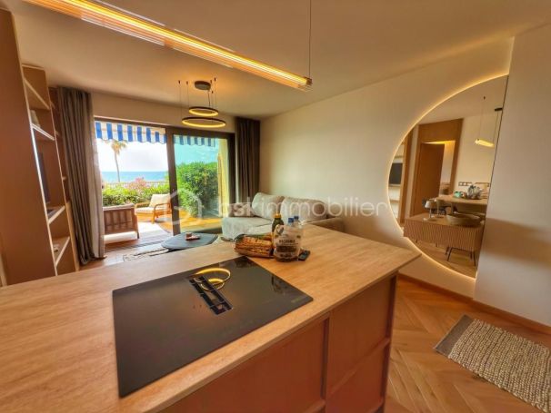 A louer APPARTEMENT DE PRESTIGE T2 40 M2 TERRASSE VUE MER CANNES