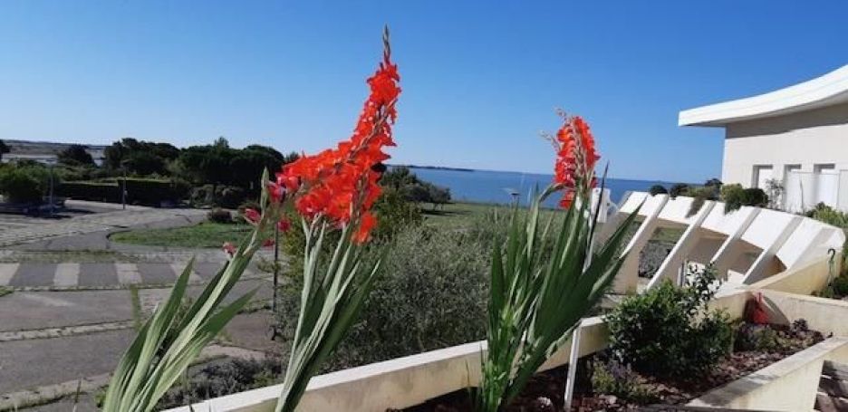 A louer APPARTEMENT T2 35 M2 TERRASSE VUE MER LA ROCHELLE