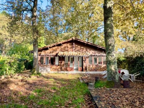 A vendre charmante maison en bois 53 m² 4 pieces Carcans