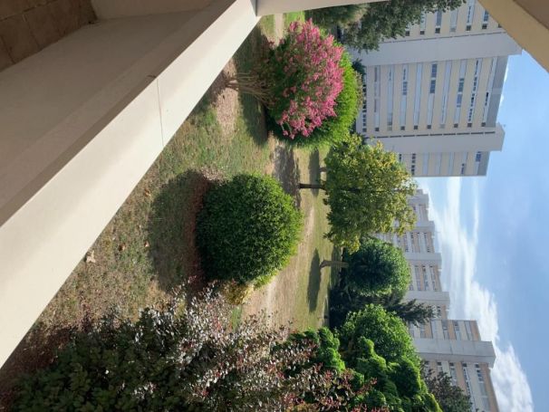 A louer APPARTEMENT T3 62 M2  LE BOUSCAT