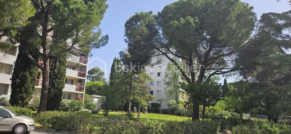 A louer STUDIO  31 M2 TERRASSE  MONTPELLIER