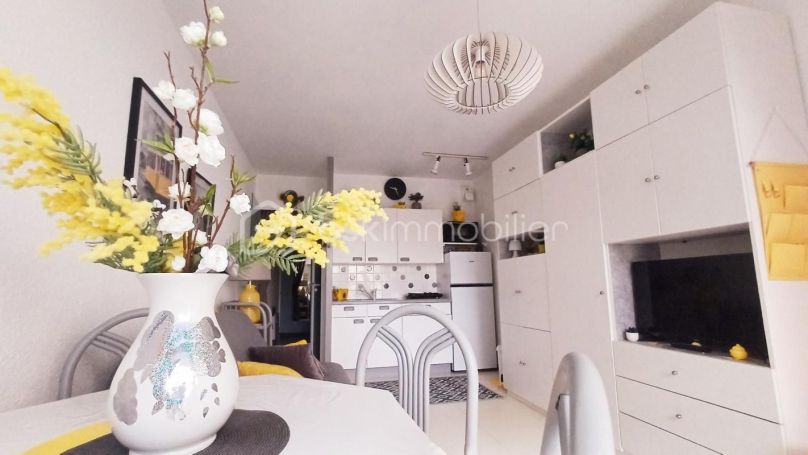 A louer STUDIO  25 M2 TERRASSE VUE MER LES SABLES D OLONNE