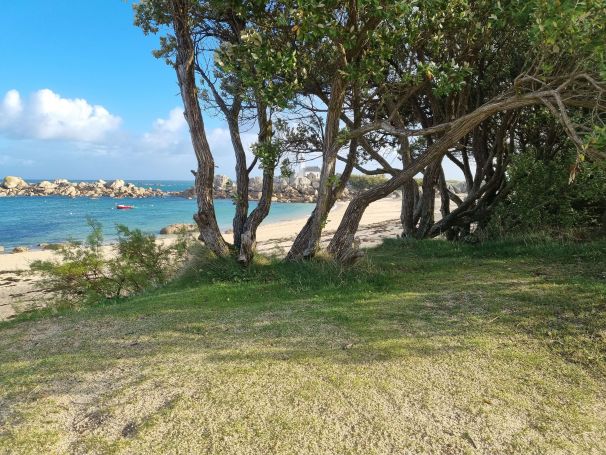 A vendre CHARMANTE MAISON ANNEES 20 3 PIECES  Brignogan PLAGE